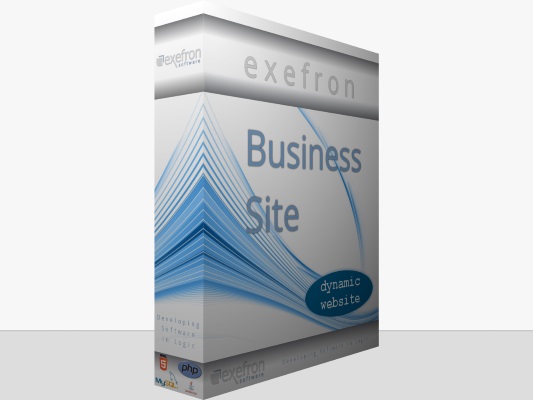 Exefron Business Site